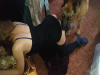 Teen animal sex with a dog